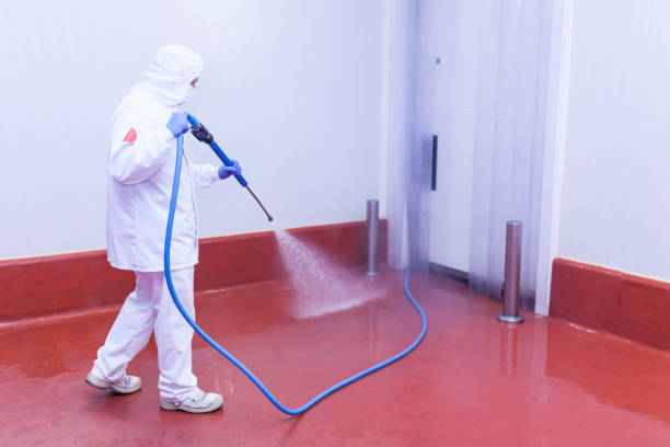 Best Sidewalk and Walkway Cleaning  in Breckenridge Hills, MO